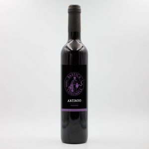 Antinoo Baetica Columela Vino Tinto de Violetas Arqueogastronomía
