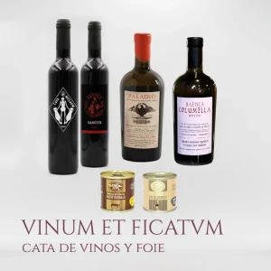Cata de vinos y foie vinum et ficatvm arqueogastronomía pack