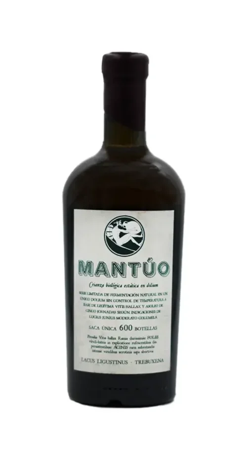 Mantúo vino romano Arqueogastronomía